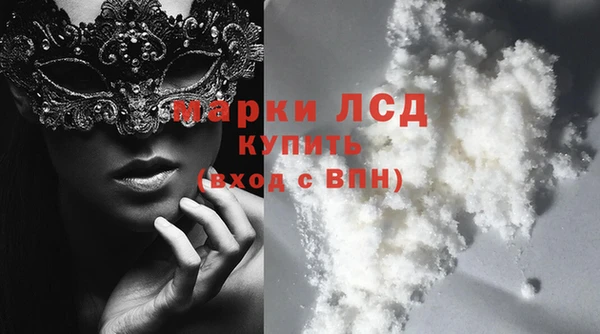 ГАЛЛЮЦИНОГЕННЫЕ ГРИБЫ Белокуриха