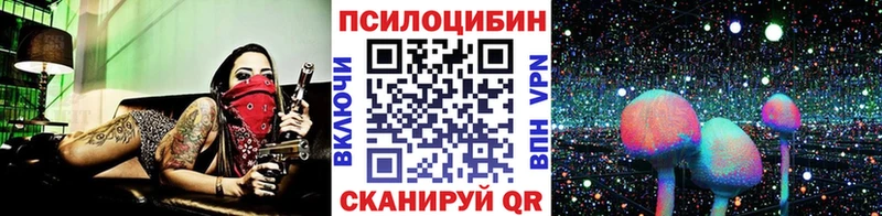 закладка  Северская  Галлюциногенные грибы MAGIC MUSHROOMS 